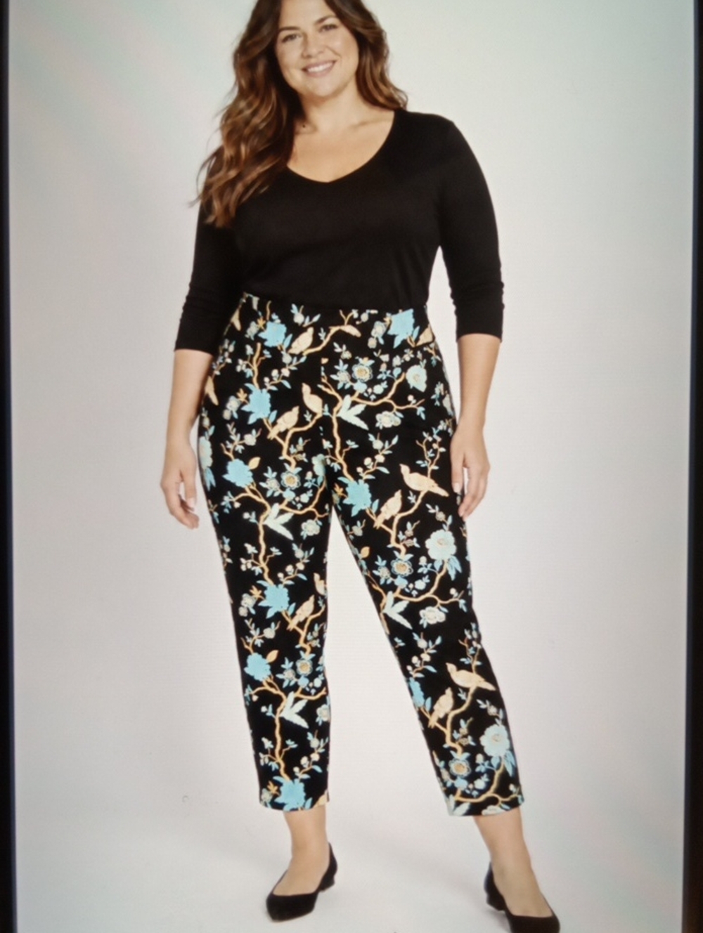 Soft Surroundings Pants Chinoiserie Bird Asian Print Pull On Ponte Stretch Sz 3X